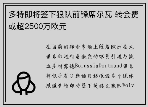 多特即将签下狼队前锋席尔瓦 转会费或超2500万欧元
